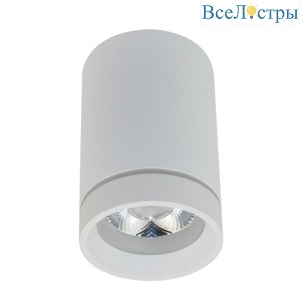 Потолочный светильник Aployt Edda APL.0054.09.10