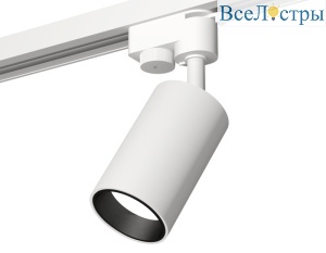 Трековый однофазный светильник Ambrella Light Track System XT6322021 (A2520, C6322, N6111)