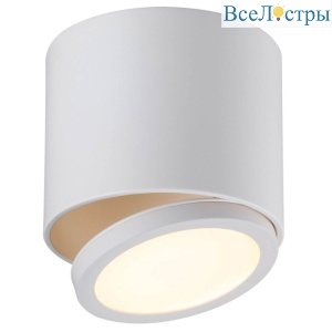 Потолочный светодиодный светильник Omnilux Canicatti OML-20501-01