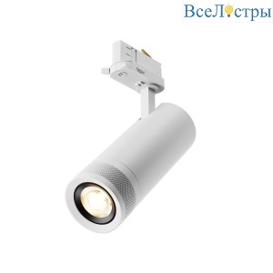 Трековый трехфазный светильник Maytoni Focus Zoom TR198-3-20W2.7K-Z-W