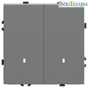 Выключатель 2-клавишный c индикатором Stekker Эмили RSW10-5102-10 49942