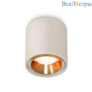Комплект накладного светильника Ambrella light Techno Spot XS7724004 SGR/PYG серый песок/золото желтое полированное (C7724, N7034)