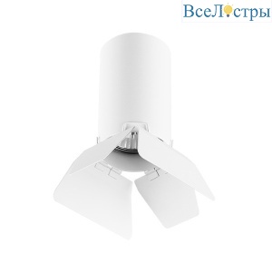 Потолочный светильник Lightstar RULLO R436436 (214436+202436)