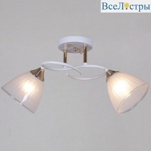 Потолочный светильник Reluce 04360-0.3-02 WH+FG
