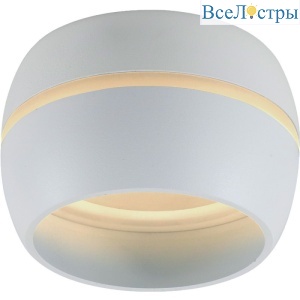 Накладной светильник Feron HL356 41509