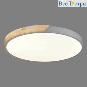 Потолочный светодиодный светильник Velante 445-267-01