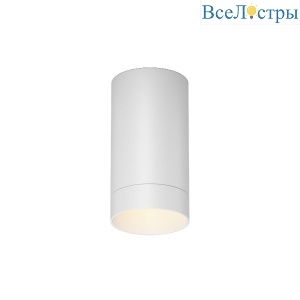 Уличный потолочный светильник Maytoni Luxe O500CL-L5W3K