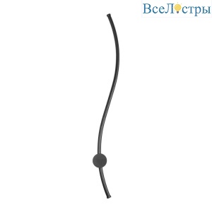 Настенный светильник Loft IT Rays 10152 BK
