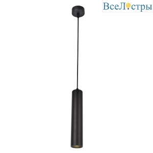 Подвесной светильник Arte Lamp Lira A5600SP-1BK