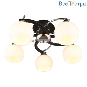 Потолочная люстра Omnilux Caldiero OML-25407-05