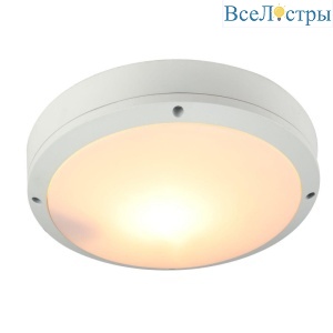 Уличный светильник Arte Lamp City A8154PF-2WH