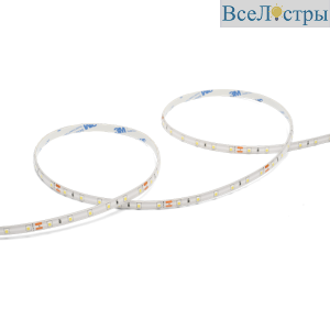Светодиодная лента Wolta WLS2835-6W/6500/24S60-01