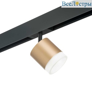 Трековый светильник Lightstar Rullo (213490+595087+202480) PRO349080