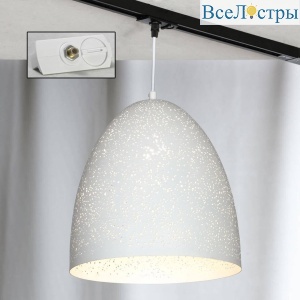 Трековый светильник однофазный Lussole LOFT Port chester Track Lights LSP-9891-TAW