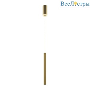 Подвесной светильник Maytoni Pro Base MOD159PL-L6GK