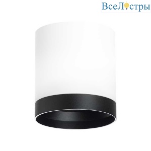 Потолочный светильник Lightstar Rullo (213486+203487) R34863487