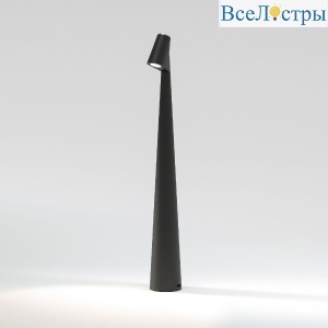 Настольная лампа Elektrostandard Elite 4690389208508 TL70250 a068070