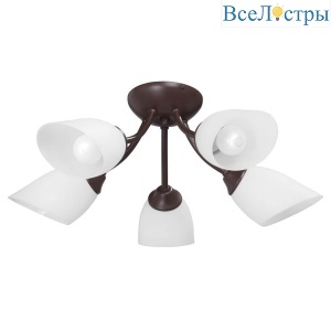 Потолочная люстра Vitaluce V3404/5PL
