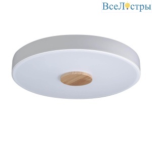 Потолочный светодиодный светильник Loft IT Axel 10003/24 white