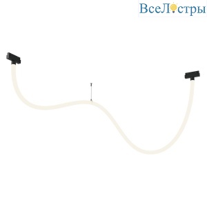 Трековый светодиодный светильник Maytoni Technical Tau TR101-2-50W4K-B
