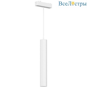 Трековый подвесной светильник Aployt Magnetic track 48 APL.0126.10.06