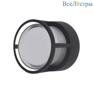 Уличный настенный светодиодный светильник ST Luce Alceno SL9504.411.01