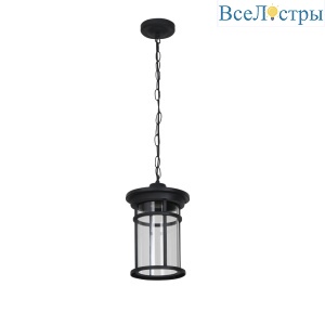 Уличный подвесной светильник Feron Турин PL765 51819