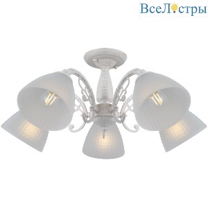 Люстра на штанге Illumico IL0232-5CSQ-24 SS SPICA