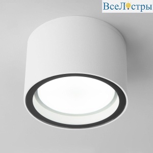 Уличный светильник Elektrostandard Light 26231 35144/H 4690389180828