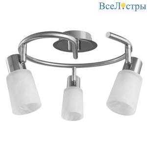 Спот Arte Lamp A4510PL-3SS