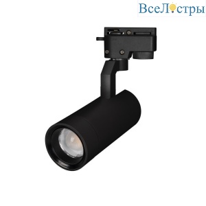 Трековый светодиодный светильник Arlight LGD-Gelios-2TR-R67-20W Day4000 031237