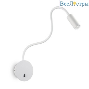 Focus-2 Ap Bianco