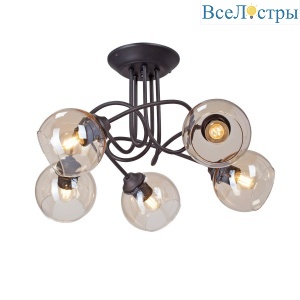 Потолочная люстра Vitaluce V43090-13/5PL