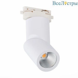 Трековый светодиодный светильник ST Luce ST650.546.10