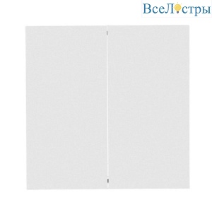 Выключатель двухклавишный Arte Lamp Smart A700133
