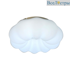 Потолочный светильник Zortes Soft ZRS.1118.2