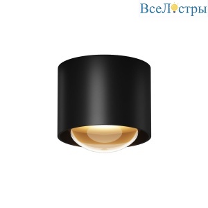 Уличный потолочный светильник Maytoni Lumina O498CL-L15B3K