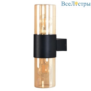Уличный настенный светильник Arte Lamp Seginus A6515AL-2BK