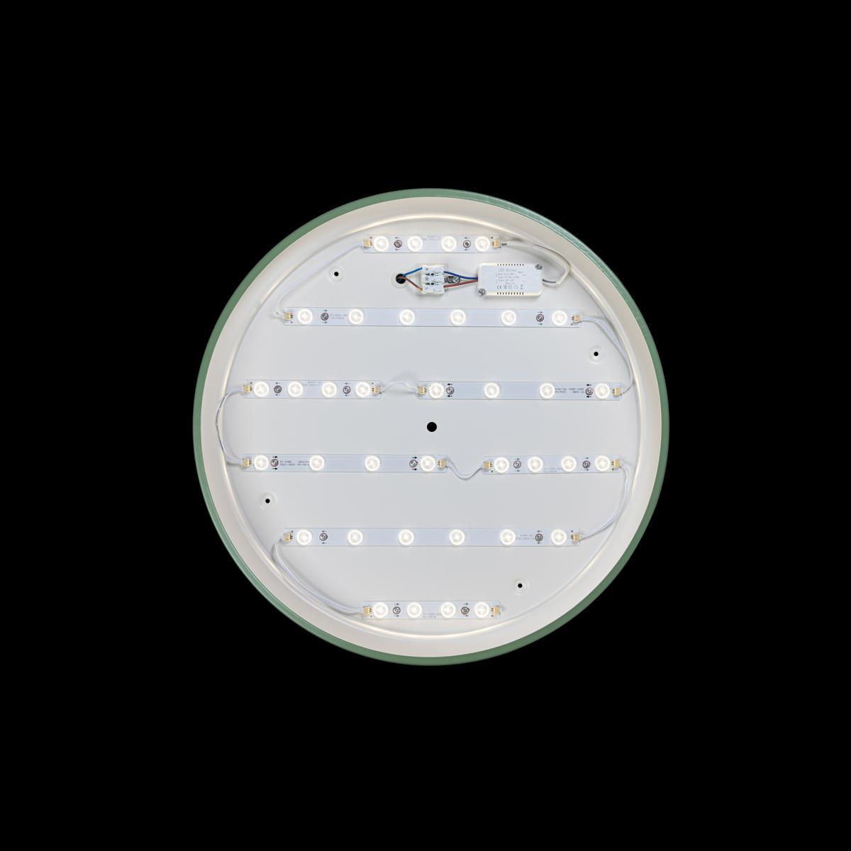 потолочный светодиодный светильник loft it axel 10001/36 green