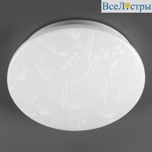 Потолочный светильник General Plant GSMCL-020-12 800259