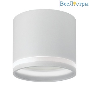 Потолочный светильник Feron HL362 41996