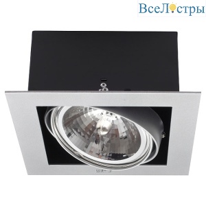 Карданный светильник Kanlux Mateo DLP-150-GR 4960