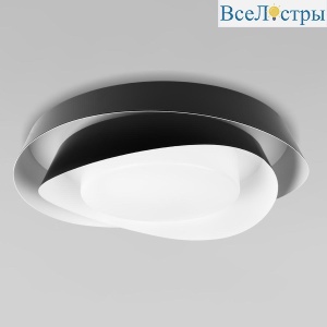 Потолочный светильник Loft IT Petale 10256 Black