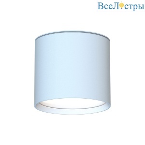 Уличный потолочный светильник Favourite Fantum 4664-1U