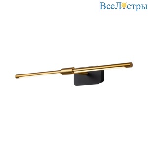 Подсветка для картин Favourite Insight 4016-2W