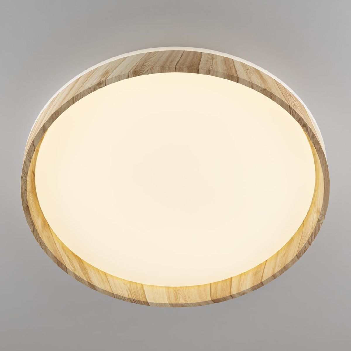 потолочный светильник citilux enzo cl753452g