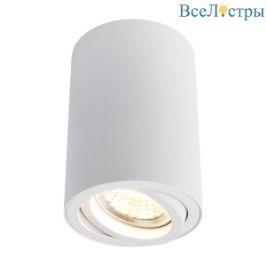 Потолочный светильник Arte Lamp A1560PL-1WH