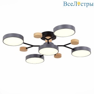 Потолочная светодиодная люстра Evoluce FAEMA SLE6006-702-05