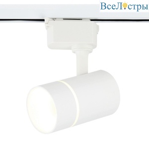 Трековый светильник Ambrella light GL5216