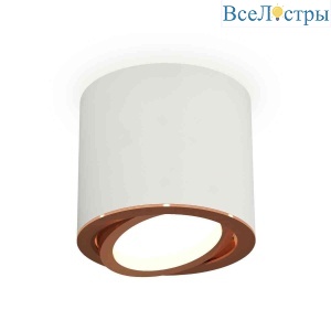 Комплект накладного светильника Ambrella light Techno Spot XS7401005 SWH/PPG белый песок/золото розовое полированное (C7401, N7005)